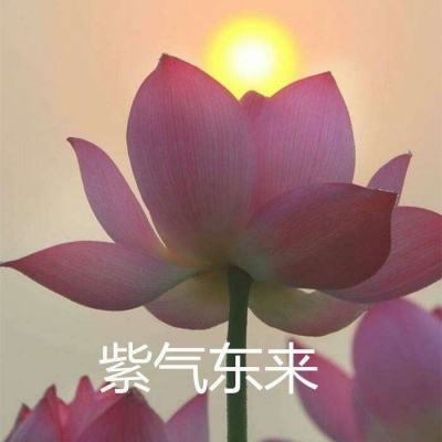演义官方版下载